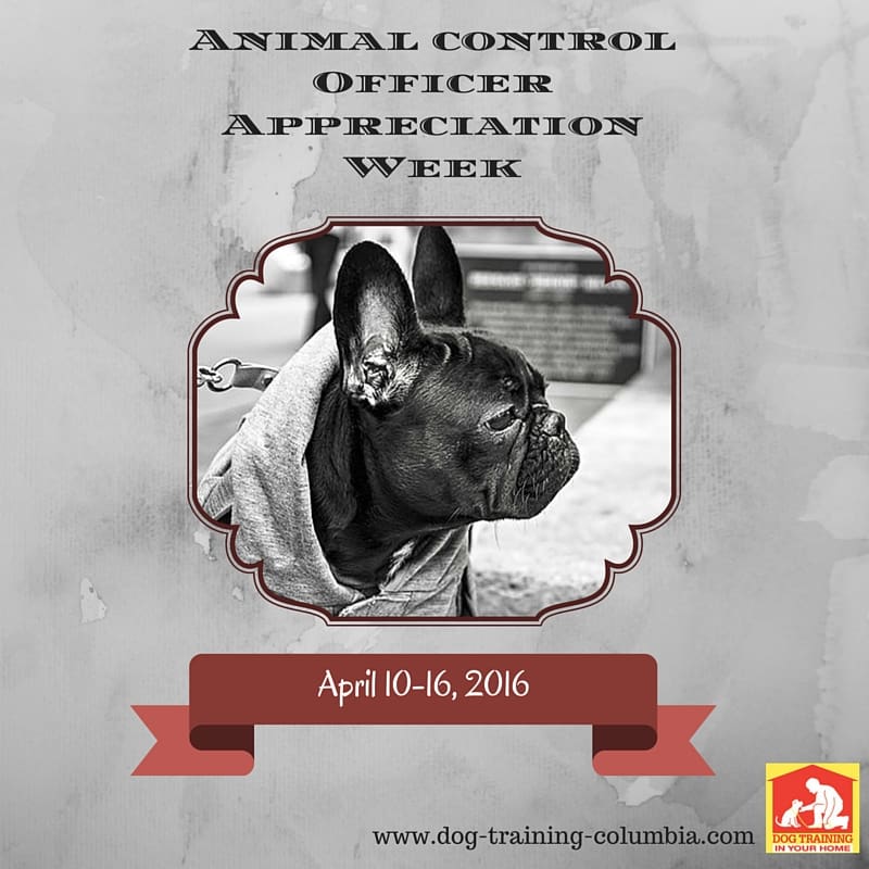 Here's a week to celebrate those trying to keep animals safe in our community. | Dog Training In Your Home Columbia